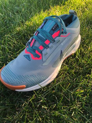 Nike Pegasus Trail 5 Verde Naranja