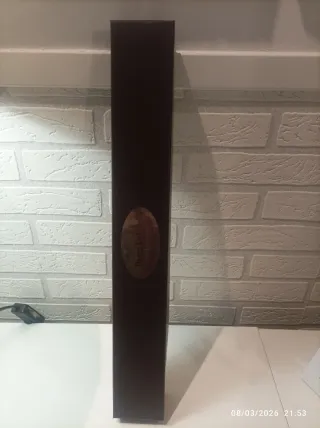 Varita original Harry Potter con caja