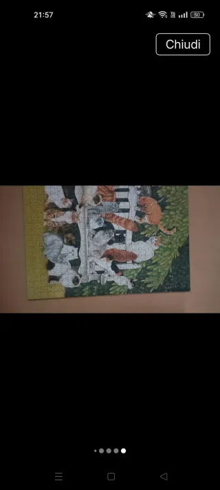 Puzzle Schmidt 1000 pezzi Gatti