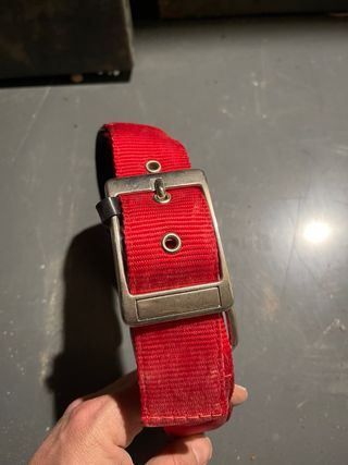 Collar para perro grande
