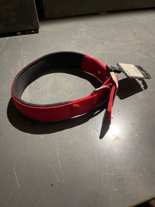 Collar para perro grande