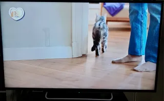 TV Sony Bravia 60 Negra