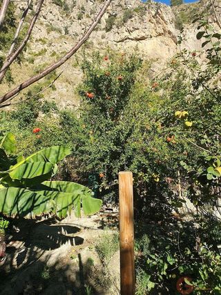 Terreno en venta en Vélez de Benaudalla