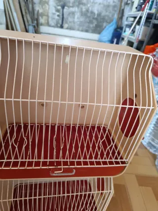 Jaulas de canto beige y rojo