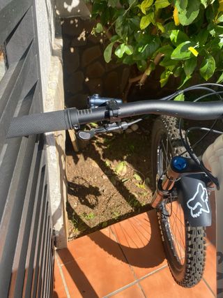 Canyon Torque 29 AL6 Talla L