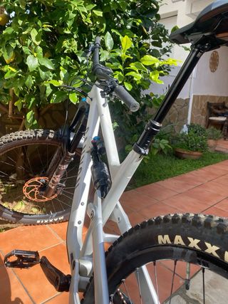 Canyon Torque 29 AL6 Talla L