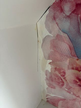 Estantería Casa Decorada