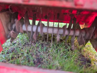 Escarificador eléctrico OUTILS WOLF