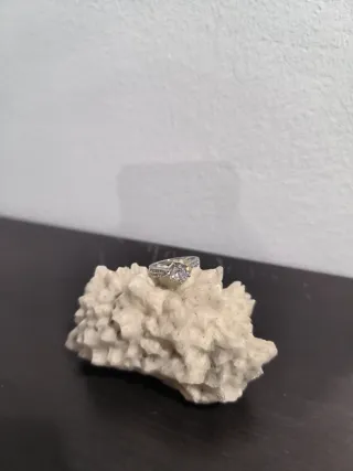 Anillo con baño plata con circonita