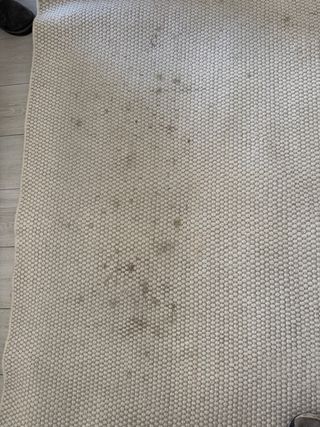 Alfombra beige salón/comedor (medidas +3m x +4m)