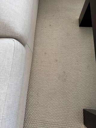 Alfombra beige salón/comedor (medidas +3m x +4m)