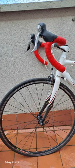 Specialized Dolce Comp Bicicleta Carretera