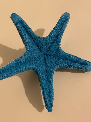 Estrella Decorativa Azul y Blanca