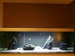 Acuario 600 litros