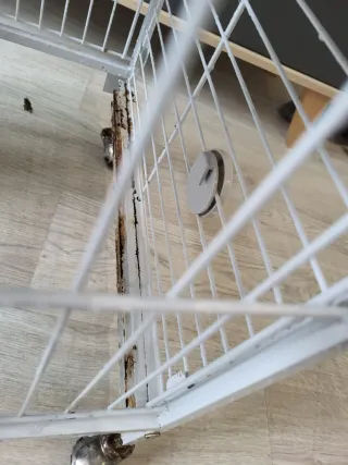 Habitat conejo ( jaula y corral)