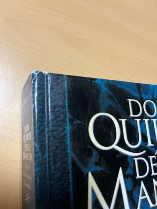 DON QUIJOTE DE LA MANCHA (ADAPTACION JUVENIL)