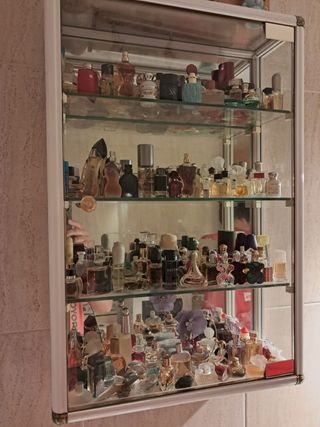 Vitrina expositora con miniaturas