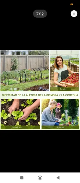 Invernadero de jardín túnel