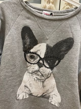 Dolores Promesas Sudadera Perro Gafas