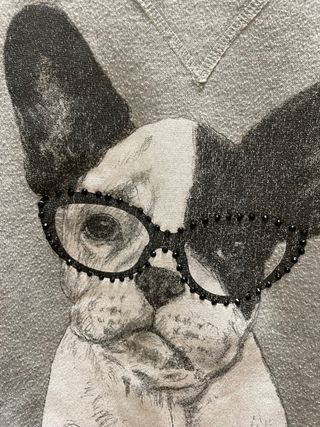 Dolores Promesas Sudadera Perro Gafas