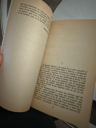 Niebla (Spanish Edition)