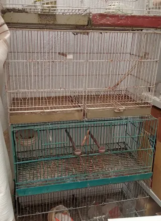 Jaulas de cría 60 cm