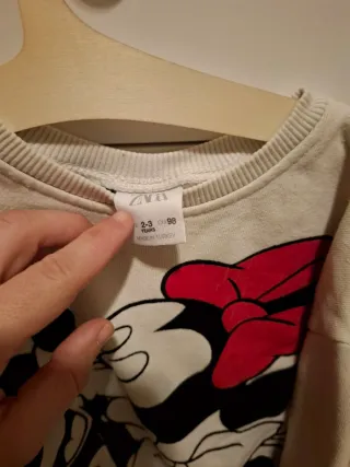 Pack 2 Ropa Niña 2 Años: Jersey y Camiseta zara