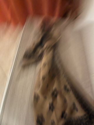 Sciarpone donna fantasia fiori 95/70,lana e cachem