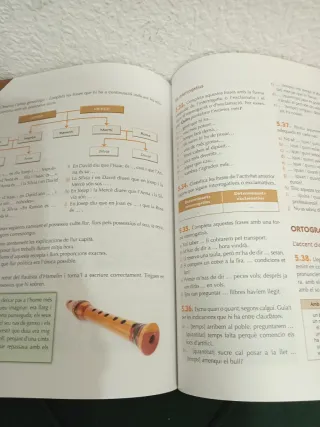 Llengua catalana 1r ESO. Llibre de l'alumne: Ad...