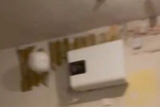 Calentador Thermor 50L