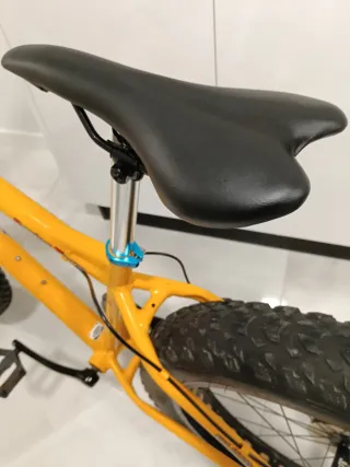 Fat Bike