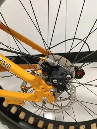 Fat Bike