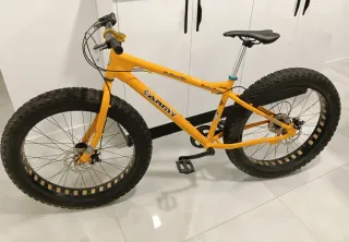 Fat Bike