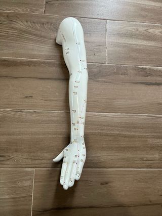 Modelo anatómico de acupuntura cuerpo completo