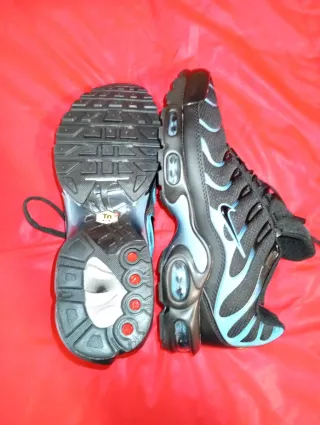 Nike TN Zapatillas Negras y Azules
