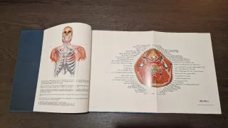 DHACOF - fábrica de anatomía digital del cuerpo...