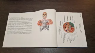 DHACOF - fábrica de anatomía digital del cuerpo...