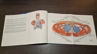 DHACOF - fábrica de anatomía digital del cuerpo...