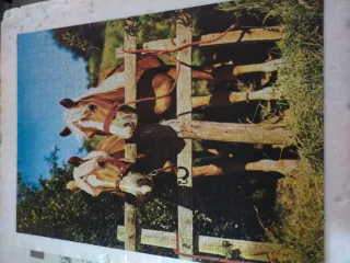 Puzzle 3x1000 Piezas