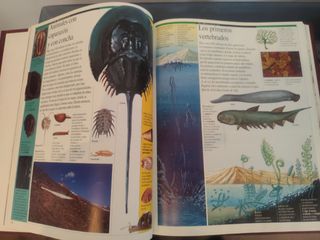 Enciclopedia juvenil Larousse Crónica visual