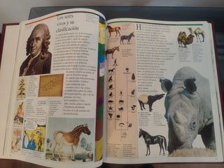 Enciclopedia juvenil Larousse Crónica visual