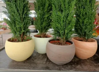 Set 4 Vasi Sfera Ceramica