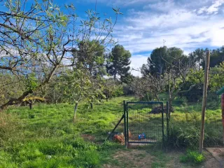 Alquiler casa rural – Vacaciones de Semana Santa