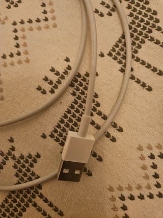 Cable de carga iPhone Apple
