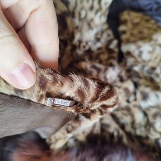 Abrigo piel vintage leopardo cuello zorro