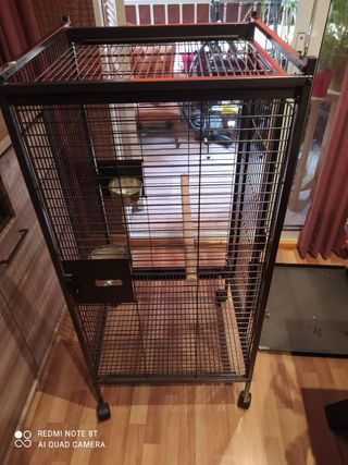 Jaula para loro grande