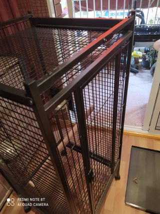 Jaula para loro grande