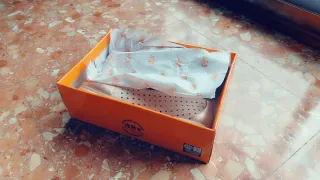 Zapatos 48 Horas Dorados Talla 39