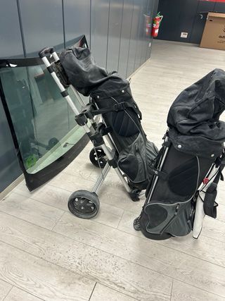 Juego Palos Golf Diestro/Zurdo + Carro