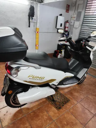 Moto eléctrica efun puma 2023